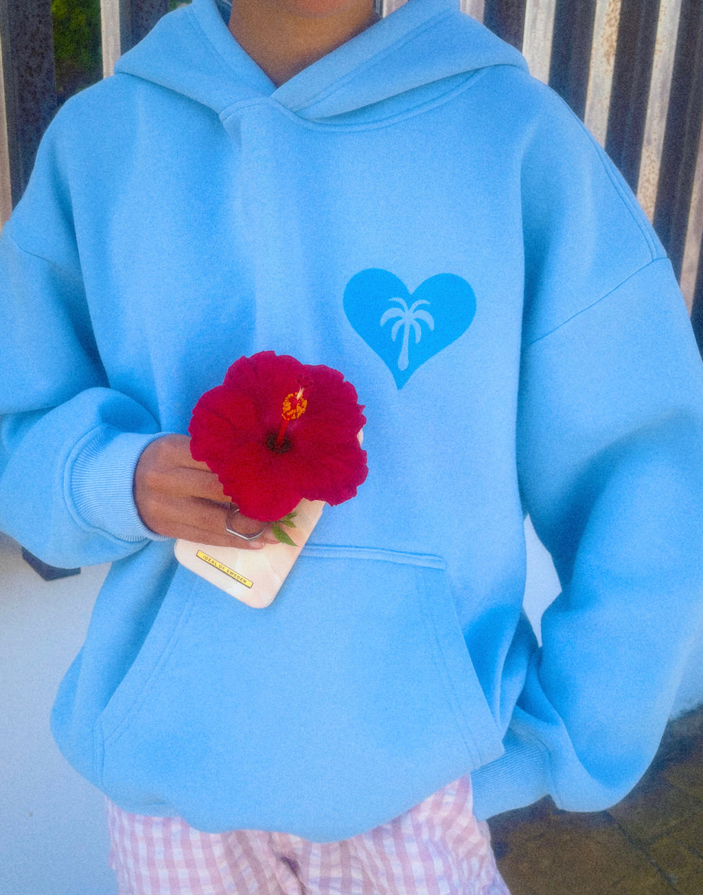 Baby Blue Butterfly Hoodie pre-order