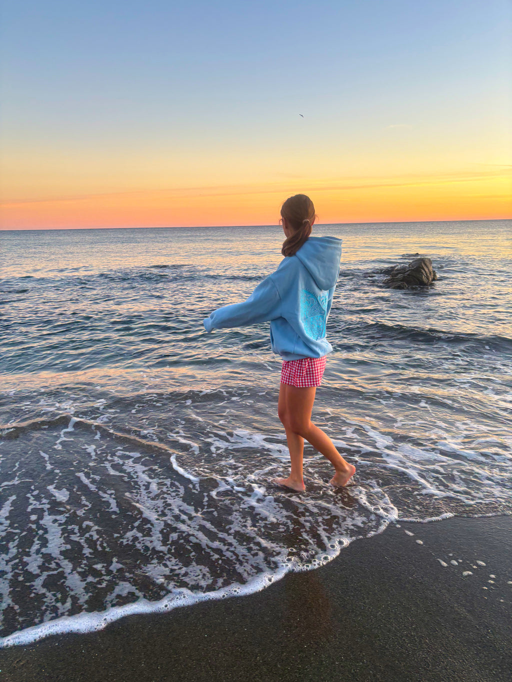 Baby Blue Butterfly Hoodie pre-order