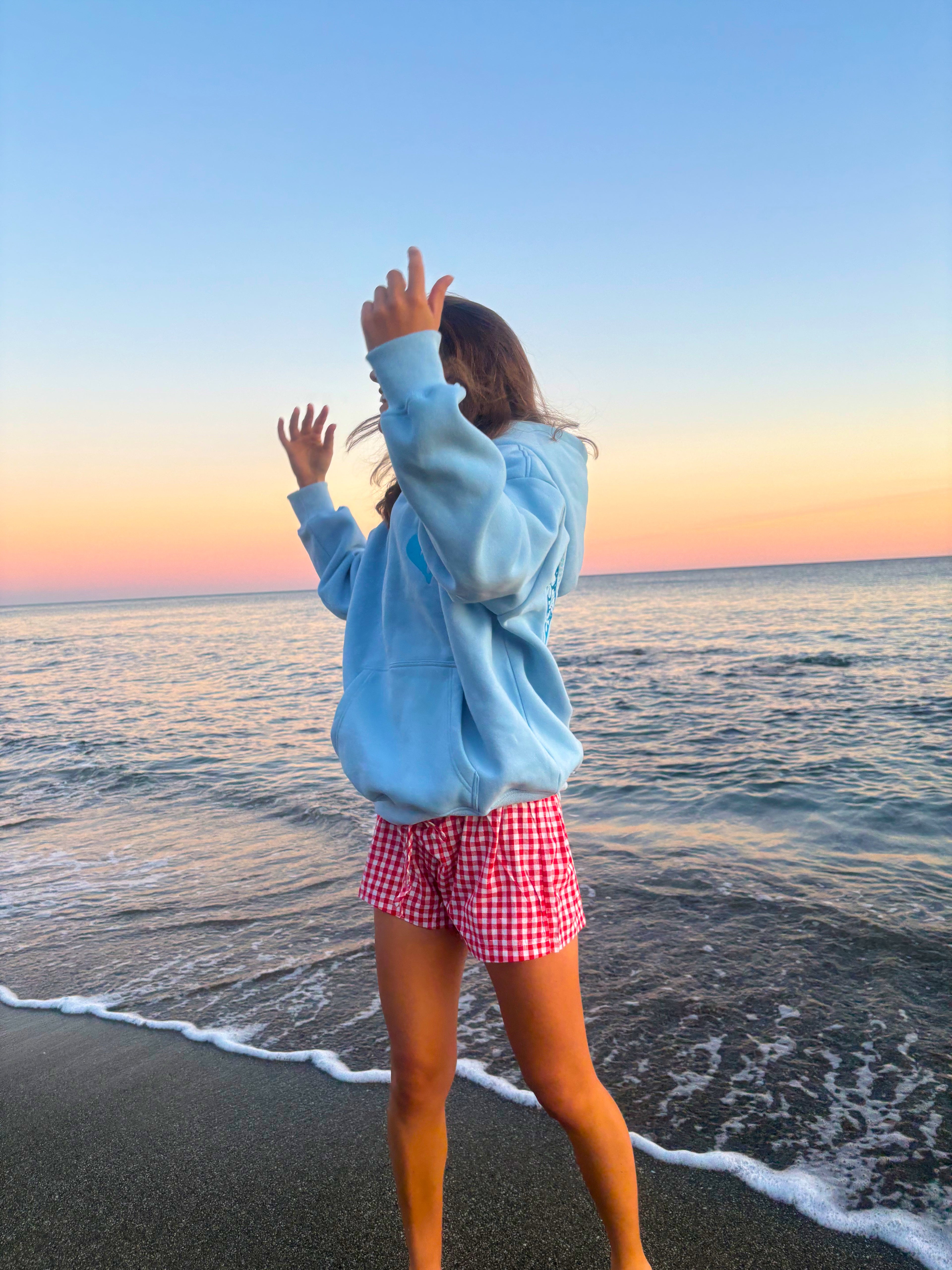 Baby Blue Butterfly Hoodie pre-order